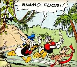 uscita_siamo-fuori-17.jpg (31334 byte)