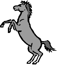 cavallo